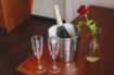 Picture of CHAMPAGNE BUCKET S/STEEL H8inXD7in 4.5ltr